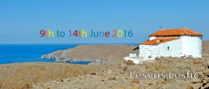 banner-foto